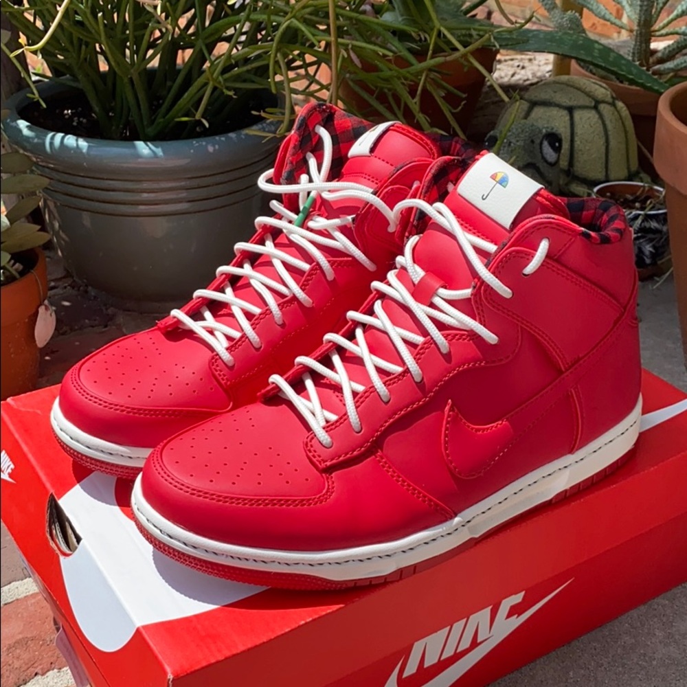 Nike Dunk Ultra